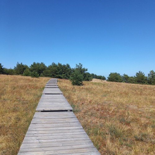 Тур-знакомство с Калининградом и окрестностями: Светлогорск, Зеленоградск, Янтарный и Балтийск