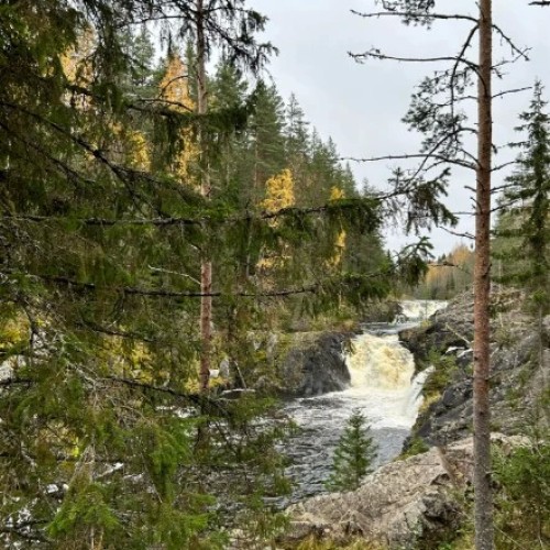 Водная стихия Карелии: от Онеги до Ладоги с проживанием в загородном комплексе