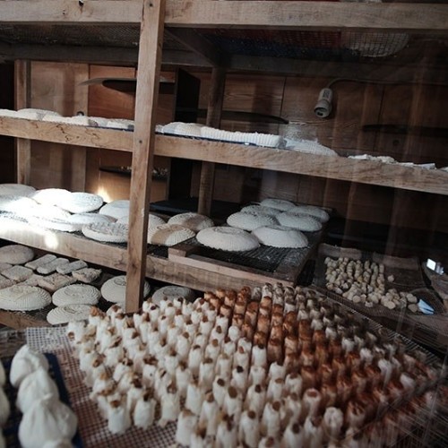 Гастротур с чаем из самовара, домашней выпечкой и дегустацией: из Москвы в провинцию