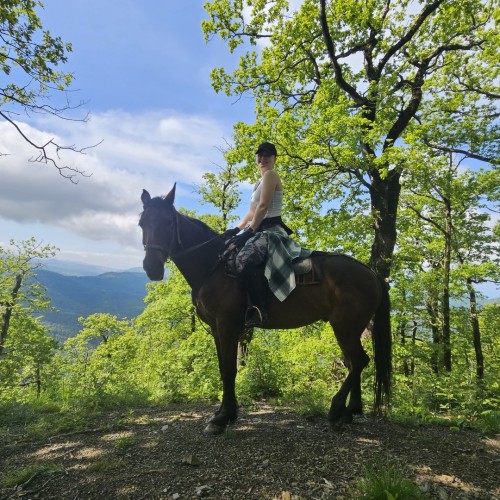 На лошадях по предгорьям Сочи: прогулки для новичков и опытных всадников