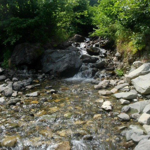 Горные купели Красной Поляны
