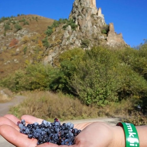 Треккинг налегке по Ингушетии: святилища, башенные комплексы и гора с герба Владикавказа