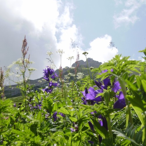 В Адыгею за походами, пещерами и древностями