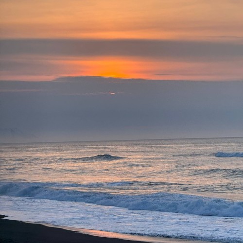 За лучшими кадрами на Камчатку: фотосессии в живописных местах, съёмка с дрона и этнодеревня