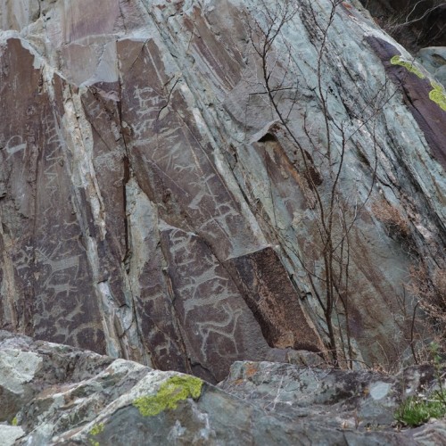 Увидеть Алтай во всей красе: Чуйский тракт, Гейзерное озеро, Марсианские пейзажи, горы и перевалы