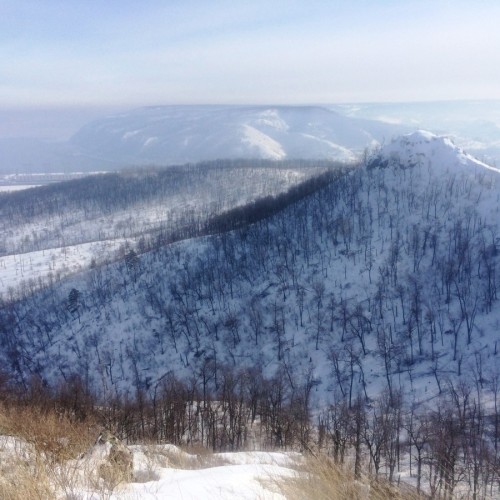 Самарская Лука: влюбиться в волжские панорамы!