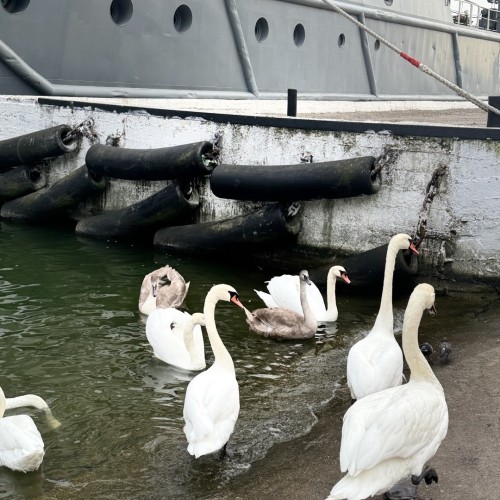 Индивидуально в Калининград: экскурсии, пикник на берегу и прогулка на катере