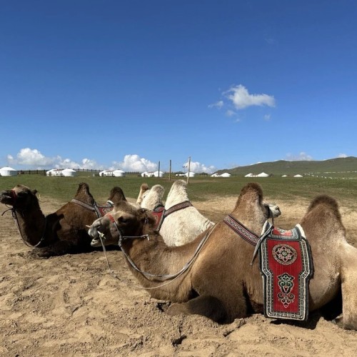 Путешествие на родину Чингисхана: Улан-Батор и нацпарк «Горхи-Тэрэлж»