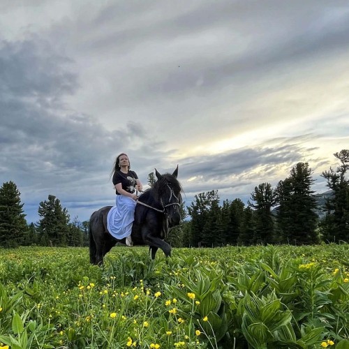 Верхом по Алтаю: конный тур для новичков с палатками (всё включено)