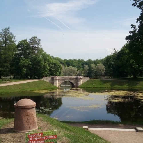 Дворцово-парковый ансамбль в Гатчине — из Петербурга