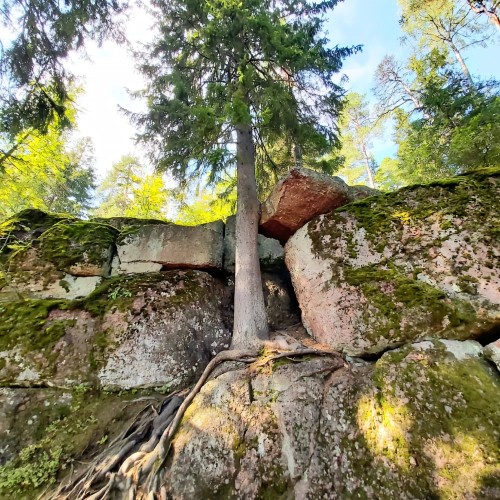 К волшебному Монрепо — на катере
