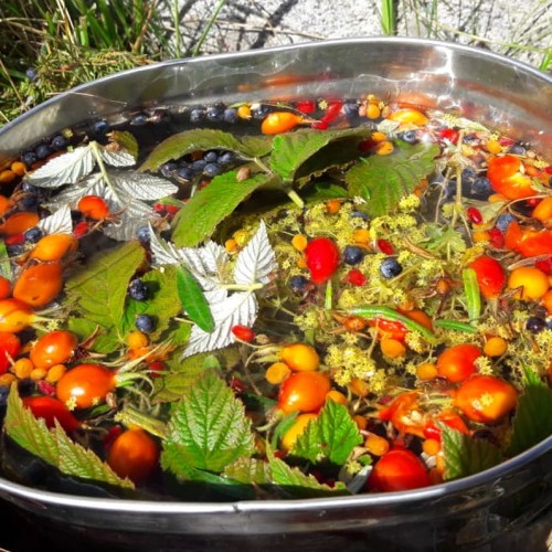 Лёгкий треккинг в Приэльбрусье с проживанием в гостинице