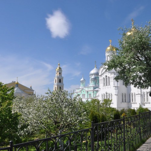 В Серафимо-Дивеевский монастырь из Нижнего Новгорода