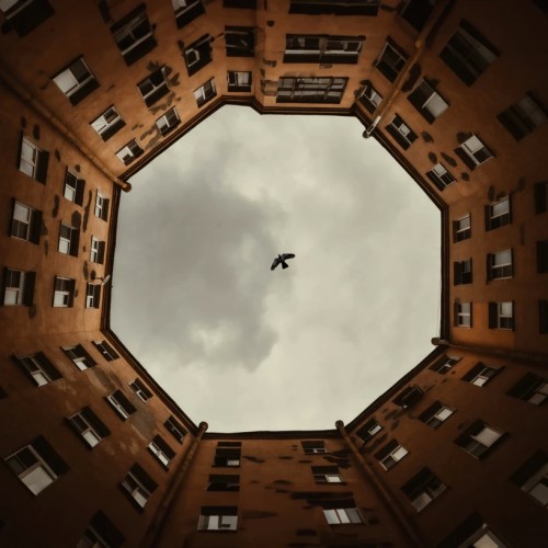 По закоулкам Петроградки — в гости к художникам