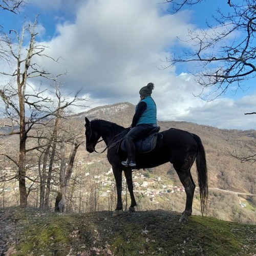 На лошадях по предгорьям Сочи: прогулки для новичков и опытных всадников