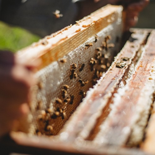 Бирюзовая Катунь и тропа предков — из Горно-Алтайска