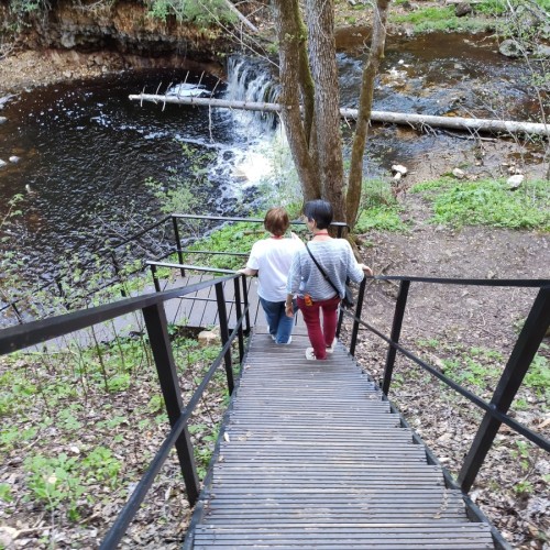 Старинные усадьбы, уютные города и природа: тур по живописным уголкам Новгородской области