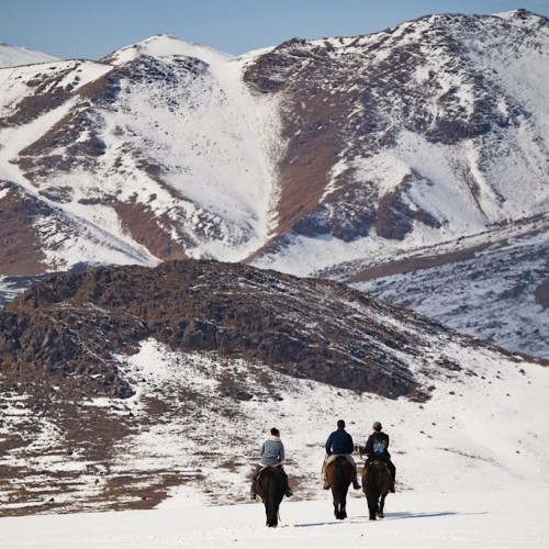 Из Алтая, по Чуйскому тракту — в Монголию на фестиваль беркутчи с проживанием в юрте