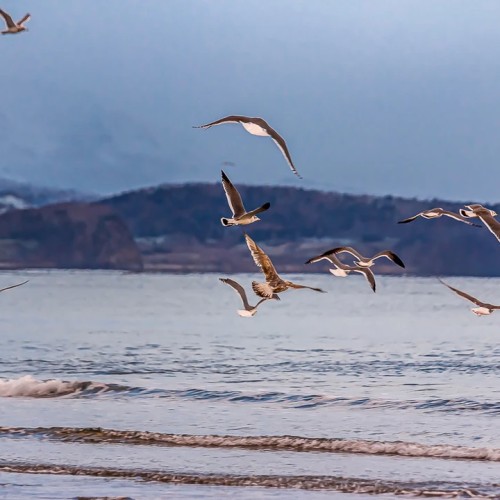 Остров чудес: путешествие по достопримечательностям Итурупа и окрестностей в мини-группе