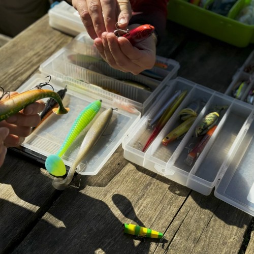 Выходные на Угре: рыбалка с обучением и отдых на природе (всё включено)