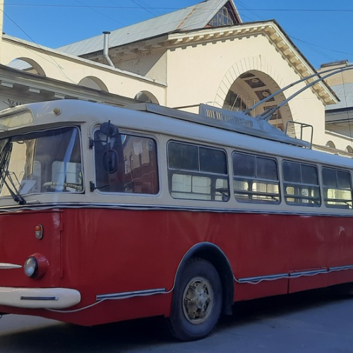 Мобильный квест в Петербурге «Сбежавший зоопарк на Петроградке»
