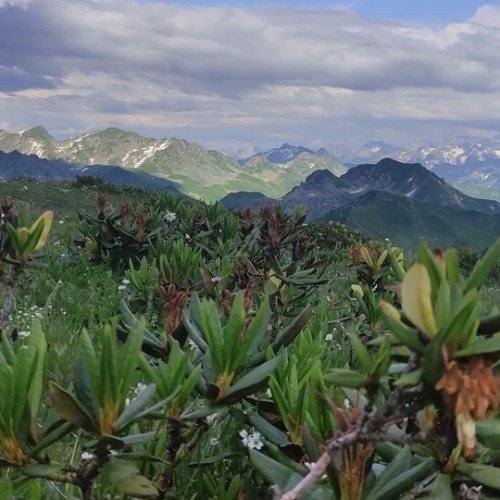 Индивидуальное экспресс-путешествие по Сочи и Абхазии