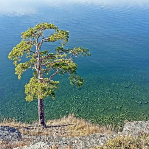 Комфортный треккинг-тур по национальным паркам Южного Урала