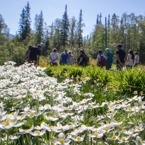 Большое приключение на Кольском в мини-группе: Териберка, корабли и красоты Арктики