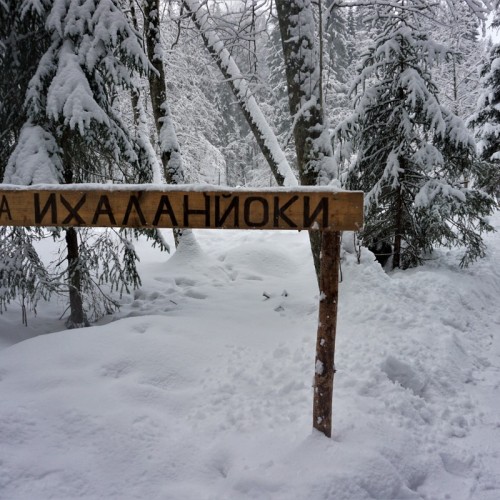 Долина водопадов и треккинг по карельскому лесу с хаски!