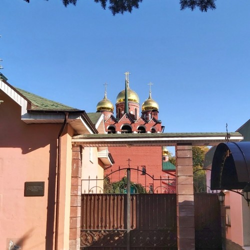 Грибы и гробы: по старинному кладбищу Нижнего Новгорода с микологом