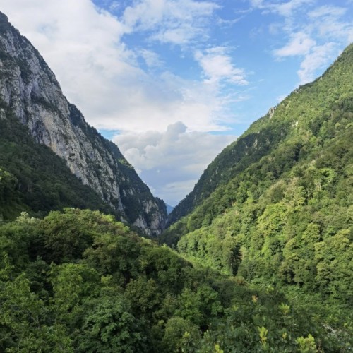 Трансформация в горах Сочи: практики с психологом, пикник, наблюдение за звёздами и фотосессия