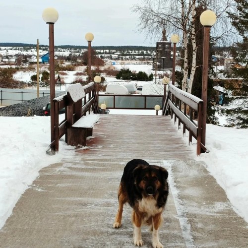 Терский и Кандалакшский берега Русского Севера: путешествие только для вашей компании