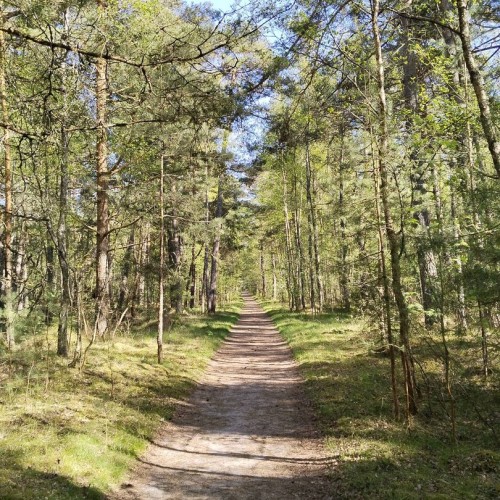 Индивидуальная перезагрузка на Куршской косе и увлекательные экскурсии