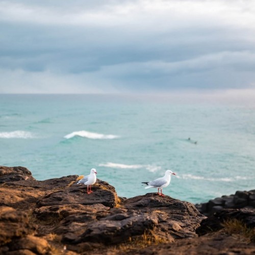 Острова с сокровищами: Сахалин, Итуруп, Кунашир