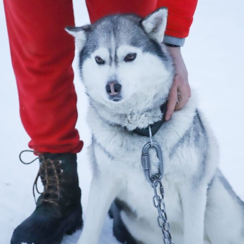 Вкусное путешествие на край света в мини-группе: Мурманск и Териберка