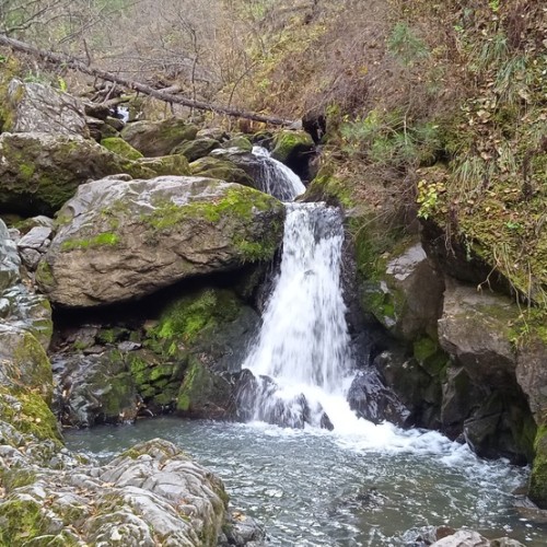 Телецкое озеро — к хранителю алтайских тайн