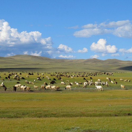 Тур по главным и редким местам Алтая на УАЗах: Чуйский тракт, горы, урочища, озёра и скалы
