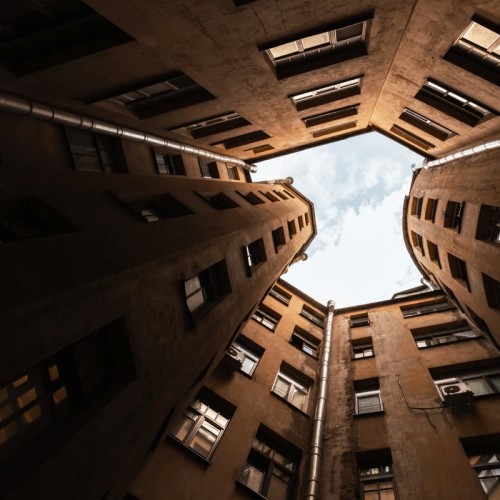 «По улицам слона водили…». Слоновьи дворы и прочие диковинки Петербурга