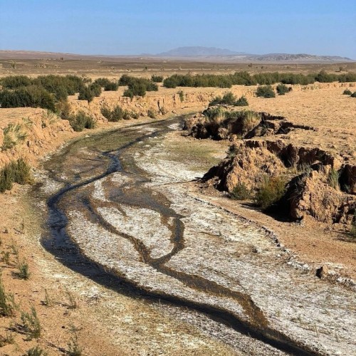 От пустыни до оазисов: большое путешествие по Монголии и Улан-Удэ