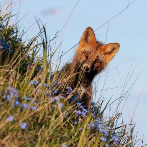Колымские приключения: Магадан и окрестности в формате «всё включено»