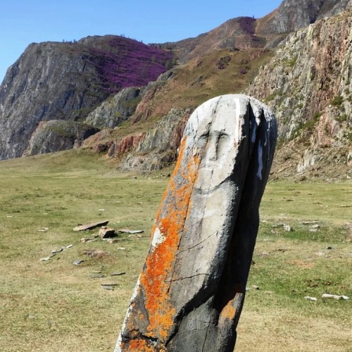 Влюбиться в Алтай: насыщенное путешествие в мини-группе