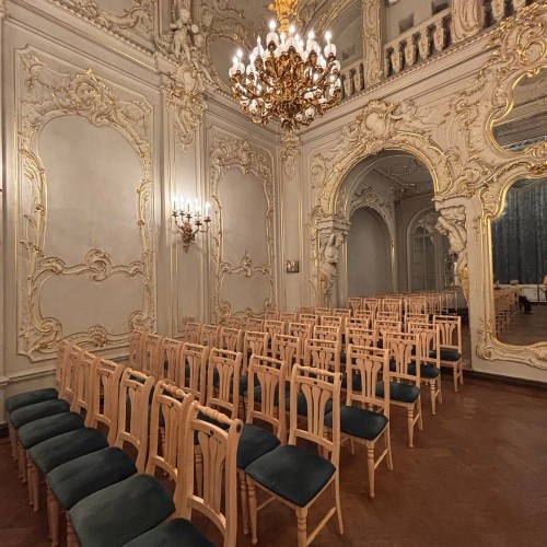 Экскурсия по Владимирскому дворцу — Дому учёных