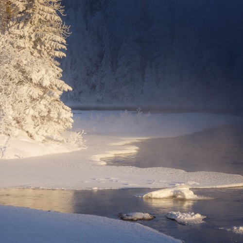 Там, где властвует природа: индивидуально в Карелию с гидом-фотографом