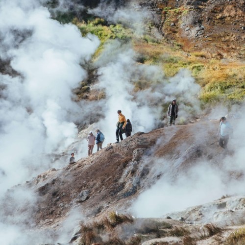 Большое путешествие по Камчатке: вулканы, глэмпинг в Мёртвом лесу и круиз в бухту Русская