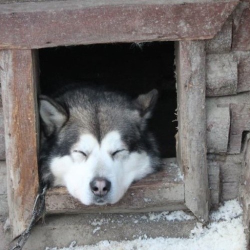 Автобусный тур в Карелию: Петрозаводск, парк «Рускеала», остров Кижи и Марциальные воды