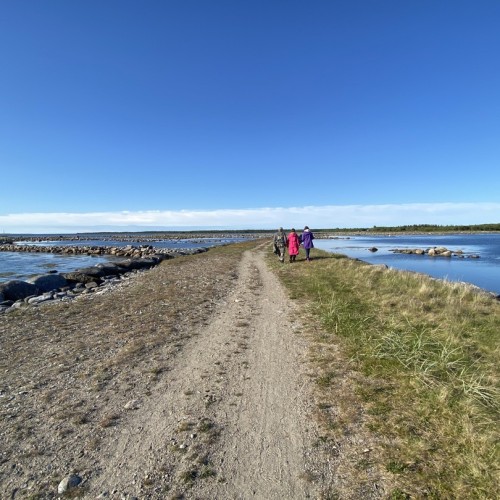 Путешествие на Соловки: погружение в историю, прогулки на катере, лодке и пешком