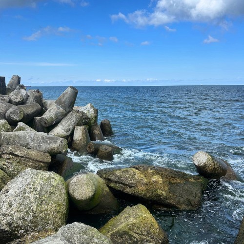 Насыщенный трип по Калининграду: дегустации, необычные маршруты, органный концерт и рыцарский турнир