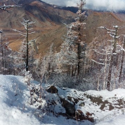 Главное на Алтае: автопутешествие в мини-группе
