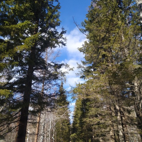 Путешествие в Аршан: прогулки в предгорье Саян и красоты Тункинской долины