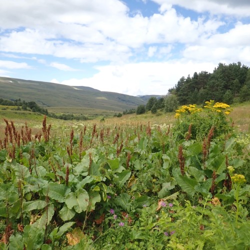 В Адыгею за походами, пещерами и древностями